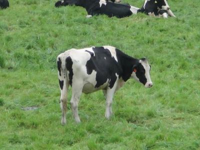 試される大地から '13夏~王道~ 【2日目】