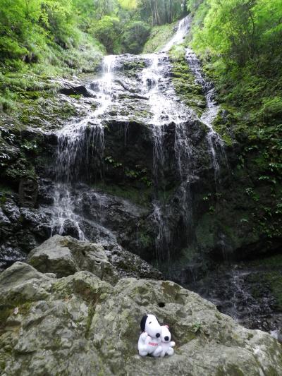 神秘的な分岐瀑　『飛竜の滝』（兵庫県佐用町）