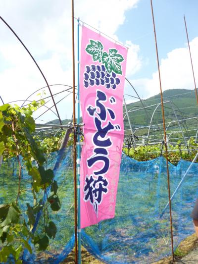 ～2013 実りの秋にフルーツ狩り～