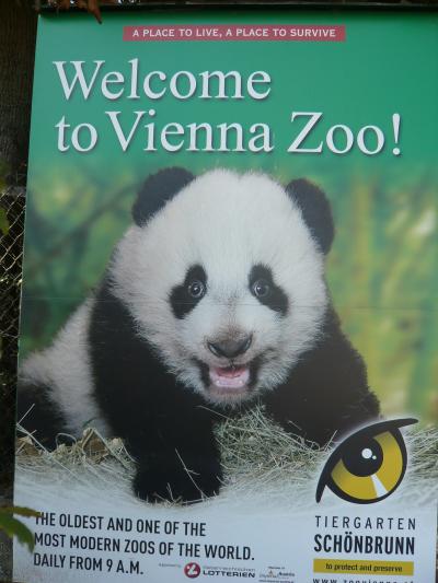 スイーツ&音楽の都☆ウィーン一人旅?