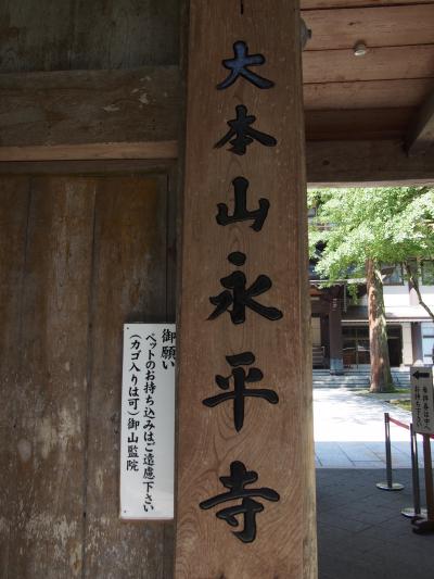 温泉に行こう北陸・山代温泉、永平寺編