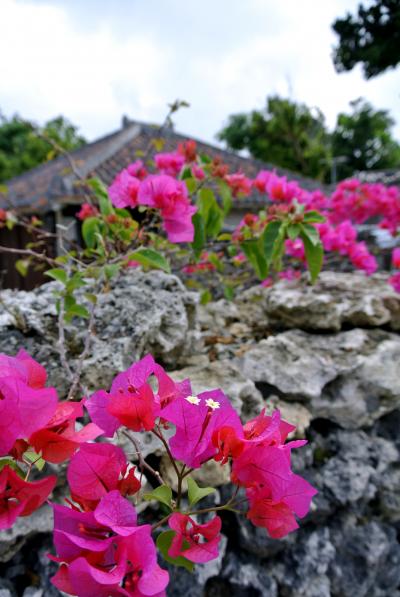 2013年8月 八重山諸島の旅 ・ 4日目 [竹富島･石垣島編]