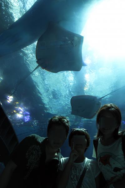 2013年8月　沖縄家族旅行　2　ビーチ～美ら海水族館～琉球村（工事中）