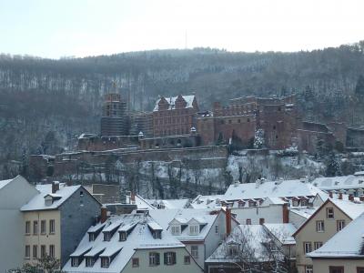 憧れのクリスマスイルミネーションの街へ@3日目(ハイデルベルク)