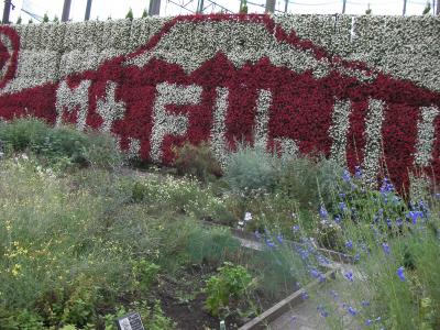 13年9月 ワンコと行く買い物ついでの散歩＆吉田うどん＠河口湖