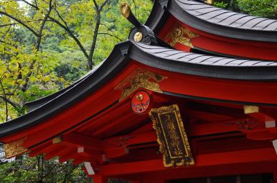 ロマンスカーで箱根へ【２】～初秋の仙石原高原と元箱根～