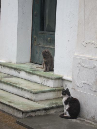 念願のアルゼンチン☆ブエノスアイレス編