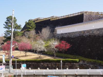 甲府城