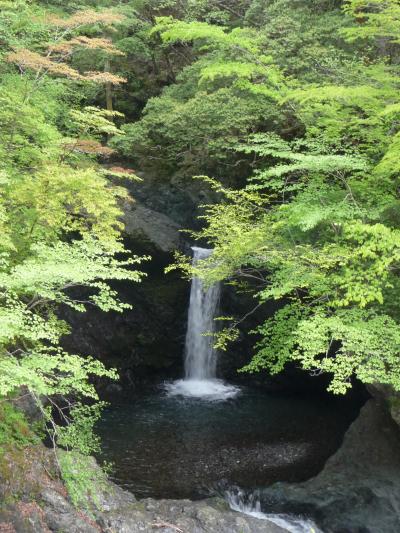 徳島県那賀町の４つの滝◆2013年ＧＷ・四国３県（愛媛・高知・徳島）滝めぐりの旅≪その１２≫