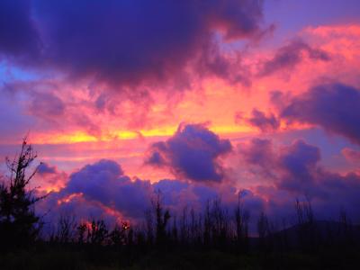 ○o。.ビーチコーミングに魅せられて・・・おきなわ４日目（恩納村＆シーグラス＆多肉植物）２０１３夏.。o○