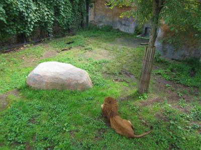 北海道あちこちドライブ　④　旭川　旭山動物園