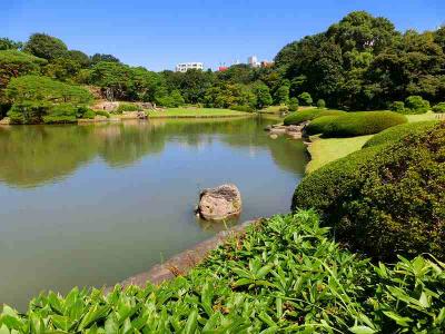 六義園・夏から秋へ、今日の昼食