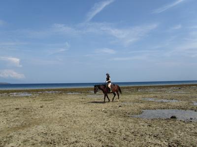 癒しのバリ♪初!北西部自然たっぷりのムンジャンガン、ウブド、スミニャック★Vol.1