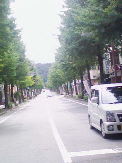 山口県はスゴイの旅！　市内編＾＾/