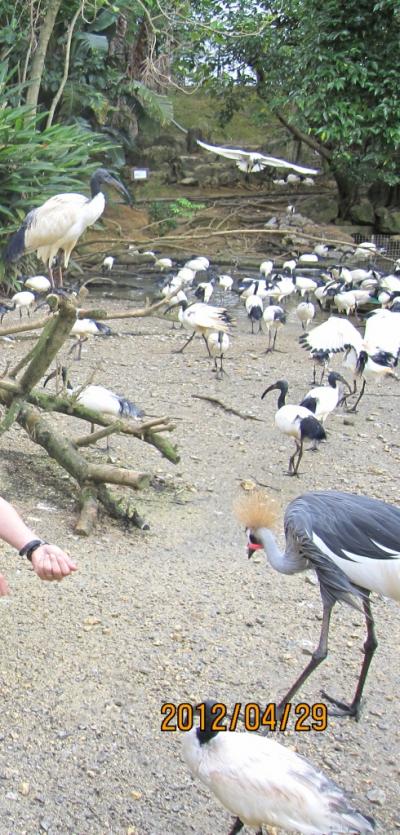 2泊3日　0歳4歳児連れのんびり沖縄旅行