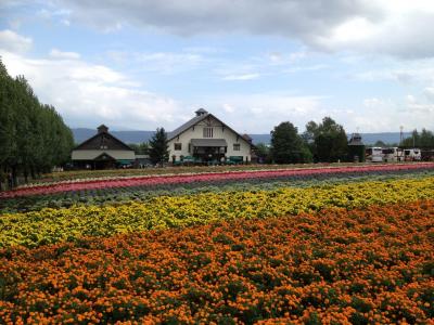 2013年9月の北海道5(富良野）