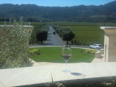 Napa Wine Tasting