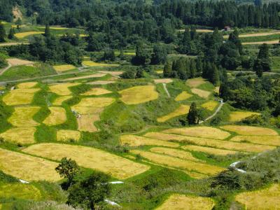 2度目の３連休は新潟県十日町の里山へ～里山ビュッフェと大自然アート日帰りドライブ