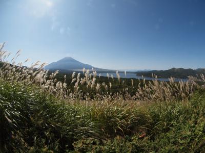 山中湖と富士山の絶景ポイント　パノラマ台
