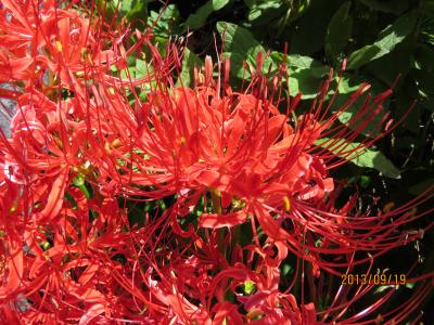 　古代天皇陵墓、古墳めぐり　奈良編　（１）