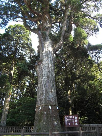 母子三人　九州旅行　3/5　霧島編