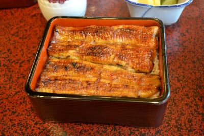 <三島旅行>鰻が食べたい! そうだ三島へ行こう。