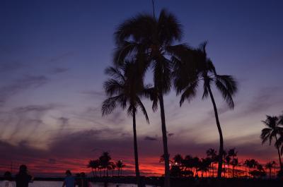 フラッとHawaii(3回目)~3日目~