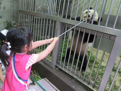 パンダに大接近!