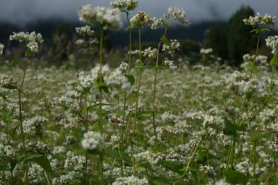 南会津の初秋 その2