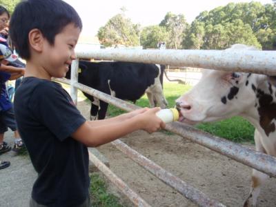 淡路島日帰り旅