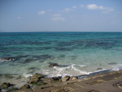 集合は石垣島♪　八重山諸島めぐり　１　予定外の竹富島・子猫が可愛すぎた黒島編