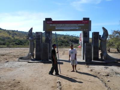 バリから行く!フローレス島、リンチャ島、スラバヤ、シンガポール