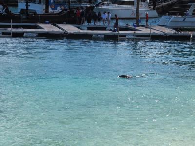 沖縄で嫁の願いを叶えるツアー　4泊5日