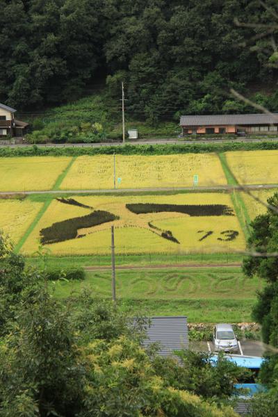 2013年  但東町の田んぼアート