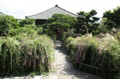 2013年京都の秋はもうそこまで　　萩と彼岸花と藤袴を求めて