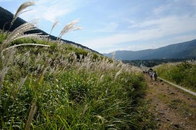 日帰り　仙石原すすき草原と恩賜箱根公園