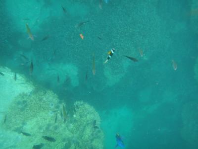 夏の名残を求めて愛媛の海へ
