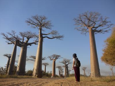 ぶらり☆マダガスカル一人旅♪