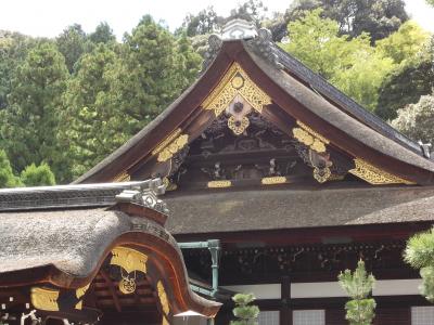 またまた 京都でのんびり：上賀茂神社の影向石や皇室の菩提所・泉涌寺など