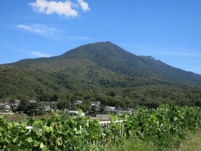 筑波山に登ってきました～