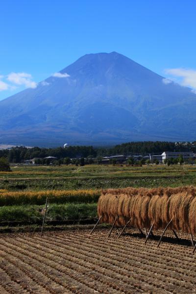 山梨　初秋の富士山