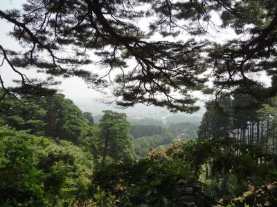 夏だ！旅行でしょ！④春日山城～野沢温泉