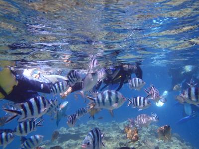 真夏の沖縄 2日目 子供初めてのシュノーケリングツアー体験