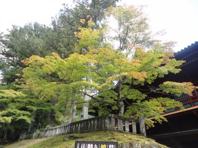 日帰りバスツアー　古峰神社