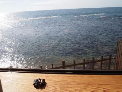 三国温泉「望洋楼」~瀧谷寺・東尋坊そしてボルガライス!