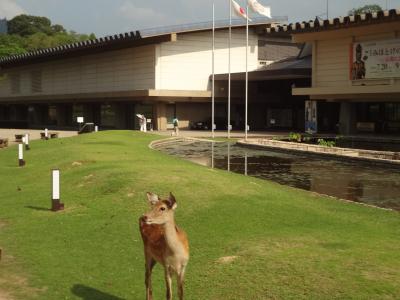 夏だ！旅行でしょ！⑪奈良国立博物館