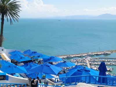 チュニジア・カタール女一人旅