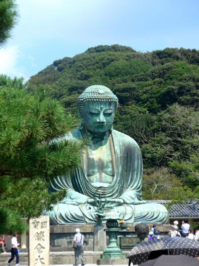 【近郊32】2013.9鎌倉・江の島バス旅行1-鶴岡八幡宮，鎌倉大仏