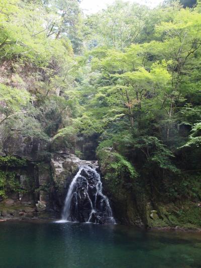 赤目四十八滝ウォークで森林浴　(^^♪