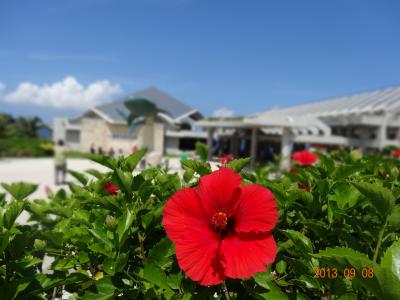 7年ぶりの沖縄旅行②